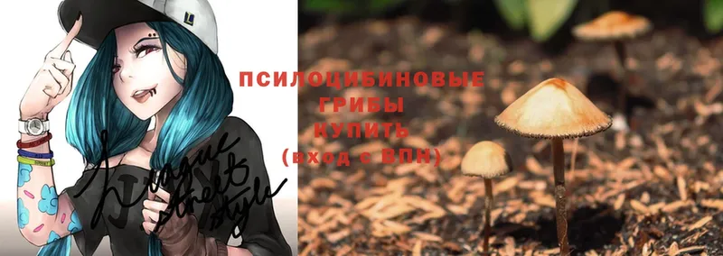 Галлюциногенные грибы Psilocybe Самара